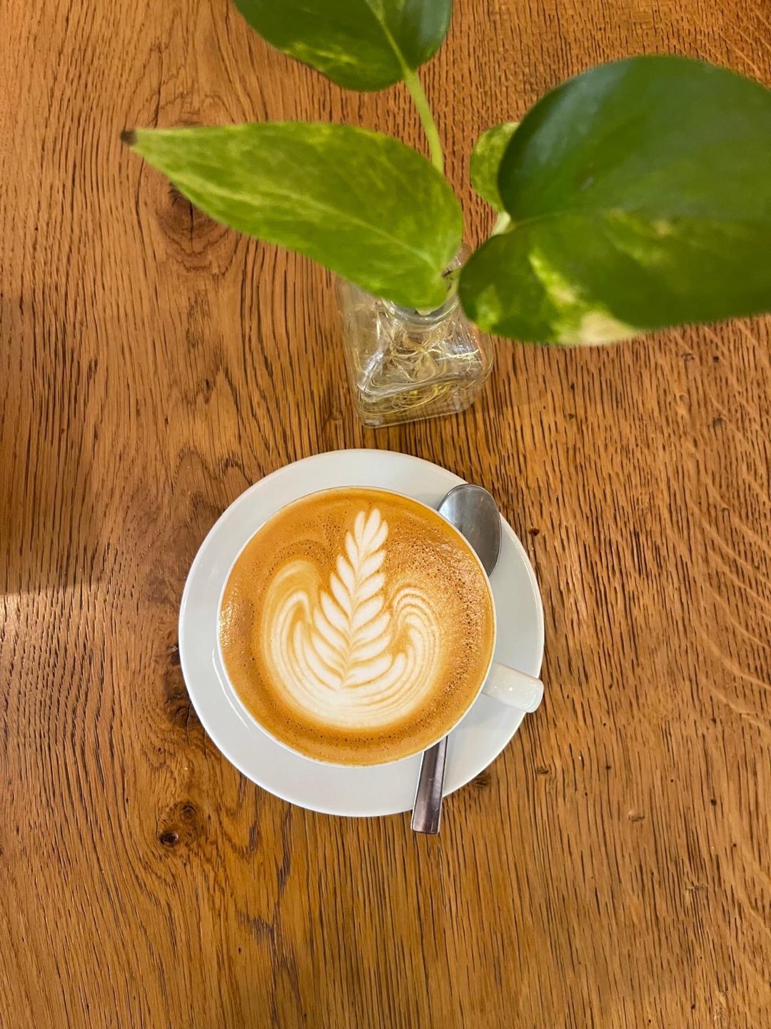 Cappuccino visto dall’alto, con una pianta